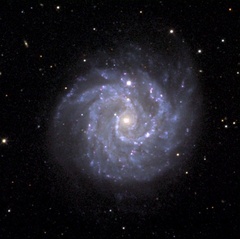 Spiral Galaxy (NGC 3184)